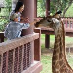 Vườn thú Đại Nam 031_3