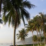 Quy Nhơn ngày trở lại_8