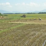 Quy Nhơn ngày trở lại_5