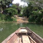 Lang thang Xuân Huế nhặt cánh sầu đông