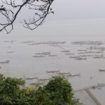 Về Làng
