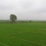 Về Làng