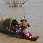 Nhung Giac Mo Lac Loai