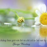 Hy Vọng