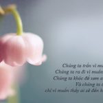 Sự thật là ...