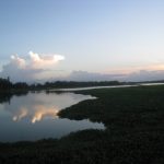 Quảng Ngãi - miền quê ngoại thân thương của tôi!_1