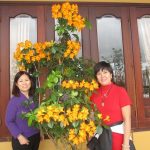 Đà Lạt Tháng 3 năm 2011 Tuyết và Khanh
