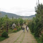 Đà Lạt Tháng 3 năm 2011