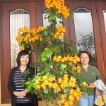 Đà Lạt Tháng 3 năm 2011 - Ngoc Dung Đông Oanh