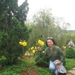Đà Lạt Tháng 3 năm 2011 - Đông Oanh
