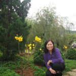 Đà Lạt Tháng 3 năm 2011- Giang ngọc Tuyết