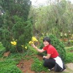 Đà Lạt Tháng 3 năm 2011 - Khanh